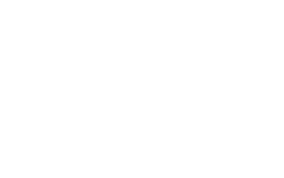 MASTER'S